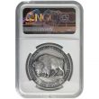 2023 Oncpapa / Bison Silver Coin