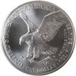 2021 Type 2 Silver American Eagle