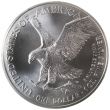 2022 Silver American Eagle