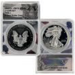 2021 Type 1&2 Proof Silver Eagle Set